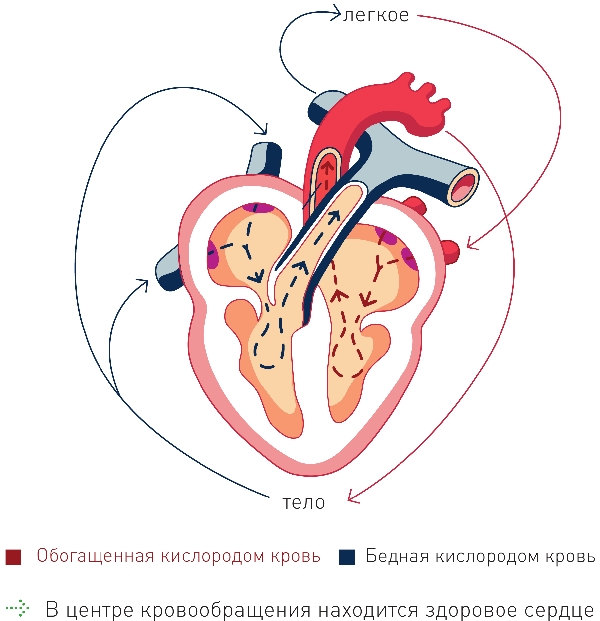 cardio1.jpg